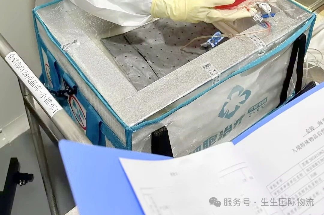 0024ea4b-b3d4-40f2-84ce-92b3149e635b.jpg